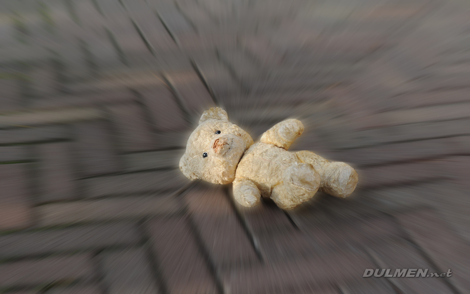 Lost teddy bear